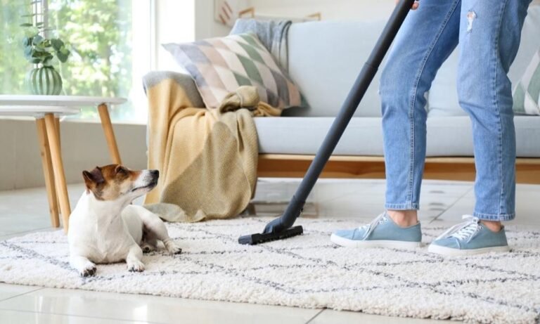 home cleaning tips for pet owners