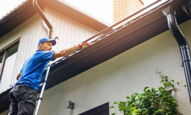 Gutter Cleaning Tips