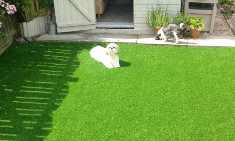 Artificial Grass For Dogs