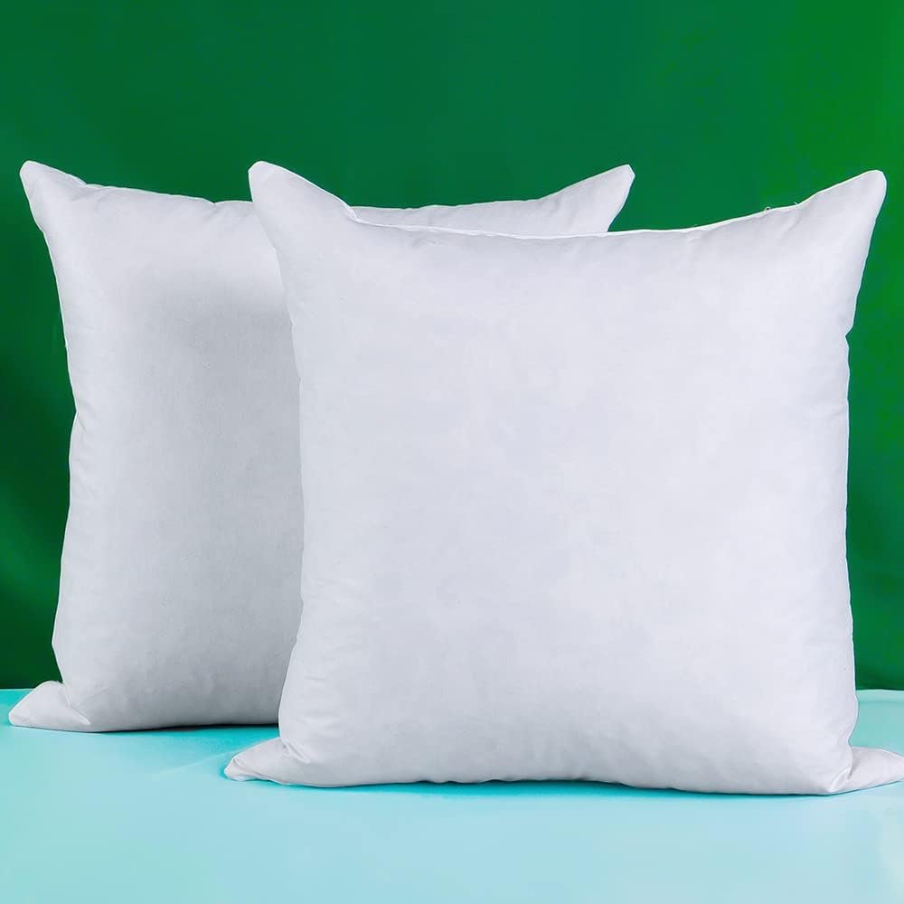 Feather or Down Cushions