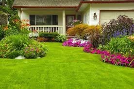 Grass Improves Landscaping