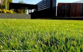 Grass is Long-Lasting