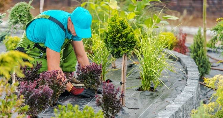 Employ a Skilled Gardener