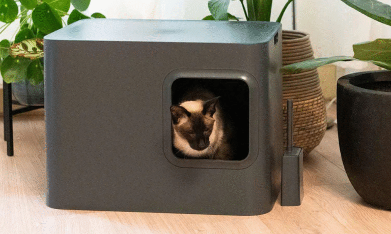 Improve Your Cat's Life With Planter Cat Litter Box
