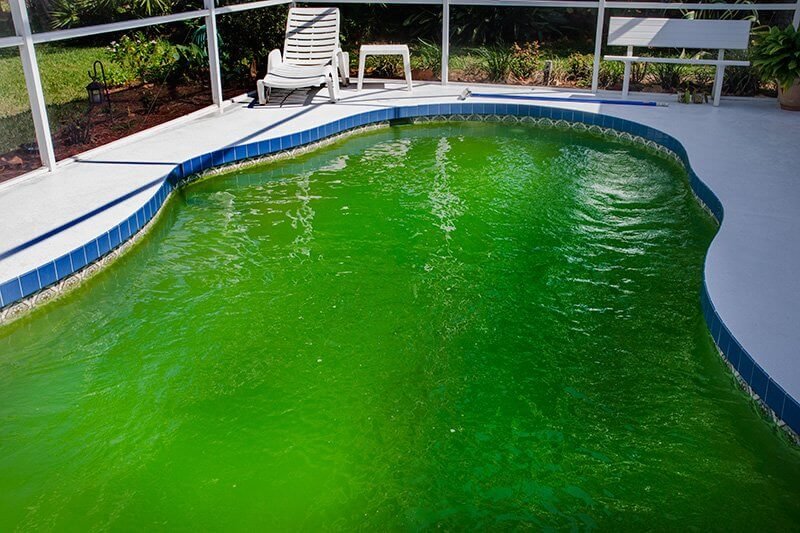 The Pool Is Green