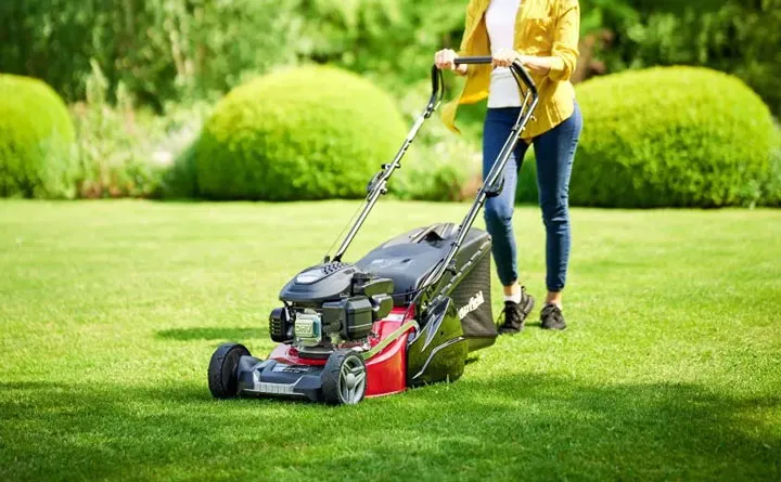 Trim the Grass Properly