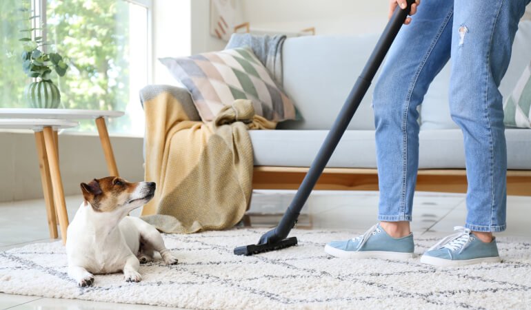 Keep your carpet free of pet hair