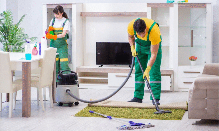 Professional House Cleaning