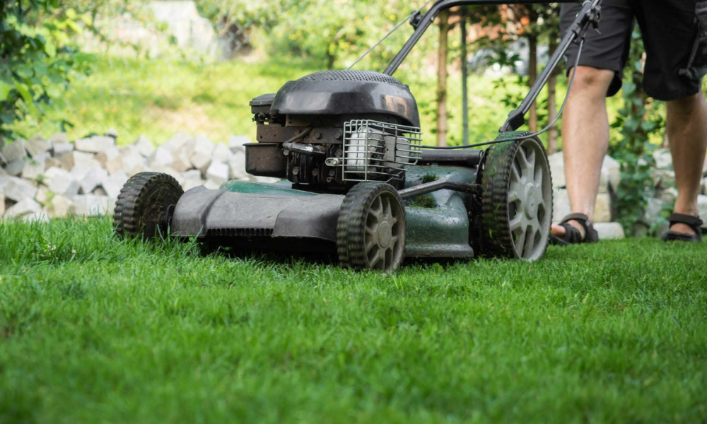Protect Your Lawn from Bad Weather Elements