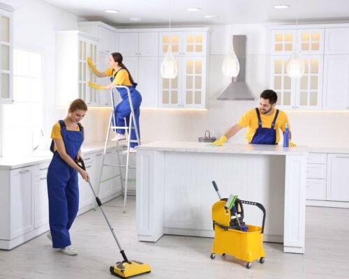 Team,Of,Professional,Janitors,Cleaning,Modern,Kitchen