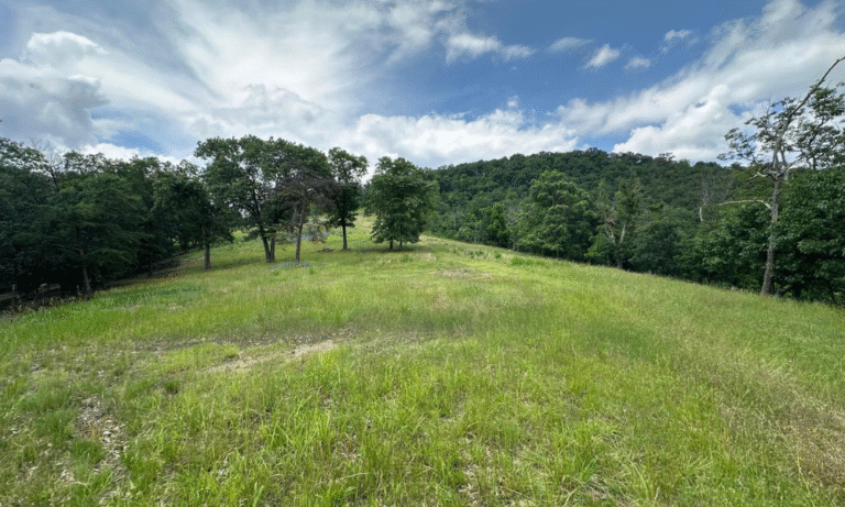 Discover the Perfect Hideaway Land for Sale in West Virginia