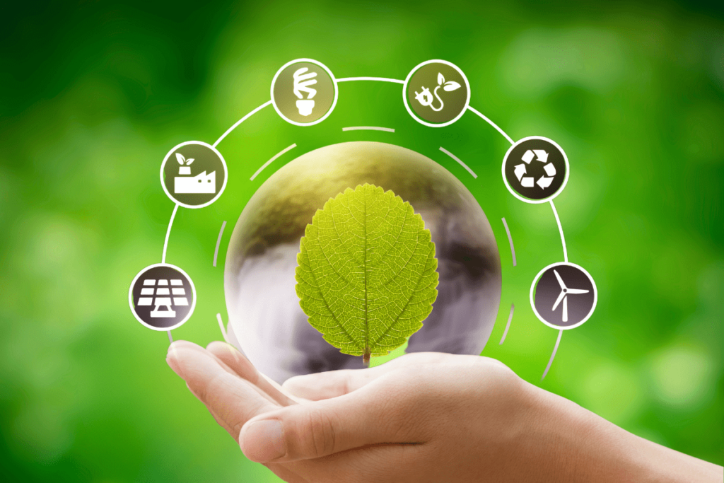 Eco-friendly practices