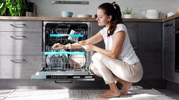 Watch Video - history of dishwashers