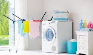 Laundry Machine Cleaners