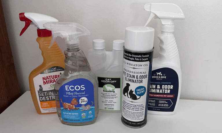 Pet Stains and Odor with the Best Carpet Cleaner for Pets