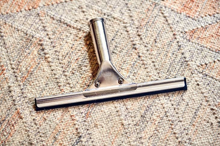 Squeegees for Pet Hair Removal