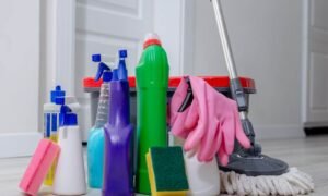 Clean Your Home Fast and Efficiently