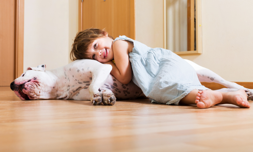 Carpet for Pets Cozy or Risky