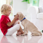 Carpet or Tile Tips for Pet-Friendly Flooring Choices