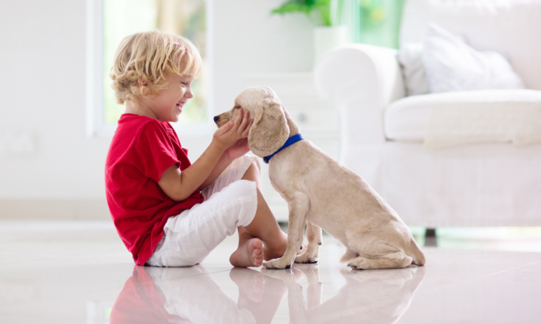 Carpet or Tile Tips for Pet-Friendly Flooring Choices