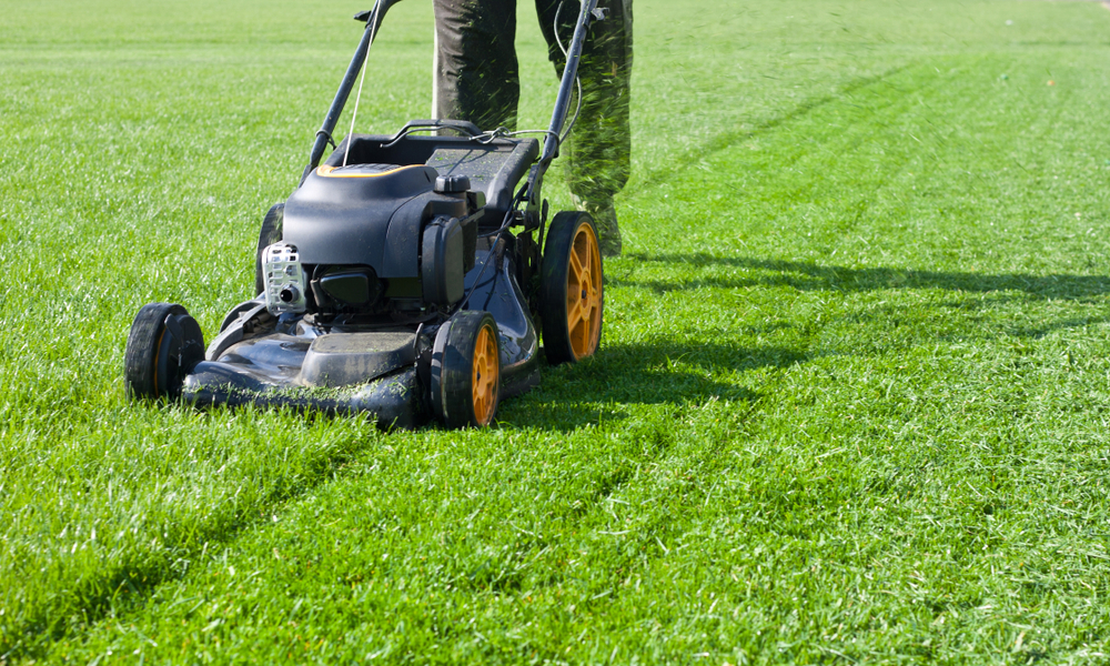 Common Lawn Care Mistakes (and How to Avoid Them)