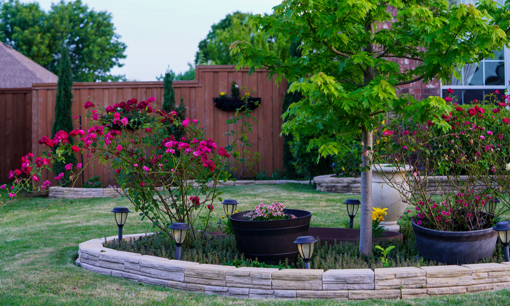 Eco-Friendly Landscaping Ideas for a Greener Yard