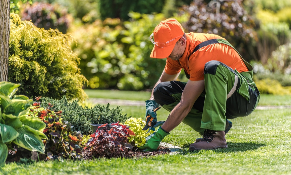 Essential Hand Tools for Every Yard