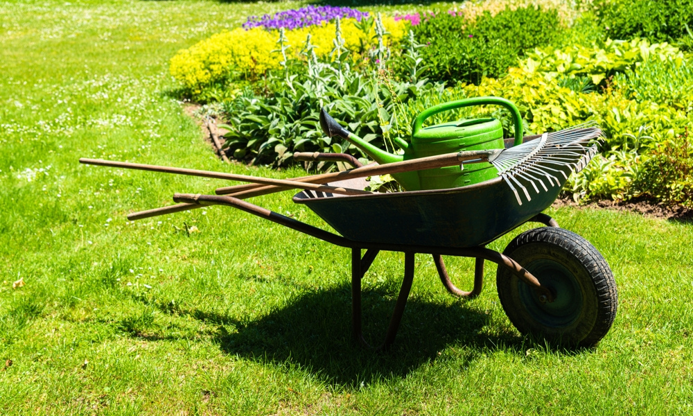 Fertilizing Feed Your Lawn the Right Way