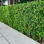 How Landscaping Increases Your Property’s Value