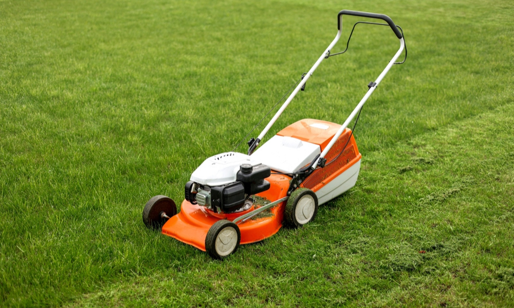 Lawn Care Basics Mowing and Fertilizing Tips for Beginners