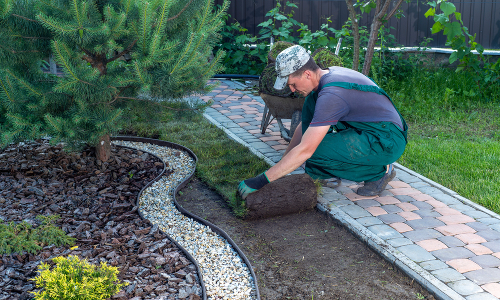 Regular Care Keeps the Lawn Doctor Away