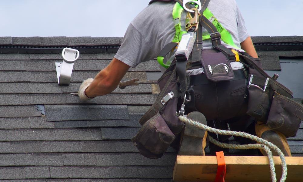 Roof Maintenance