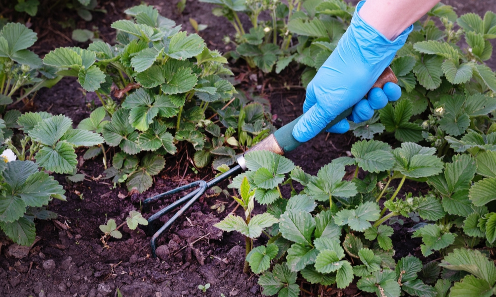 Soften Your Deck’s Edges