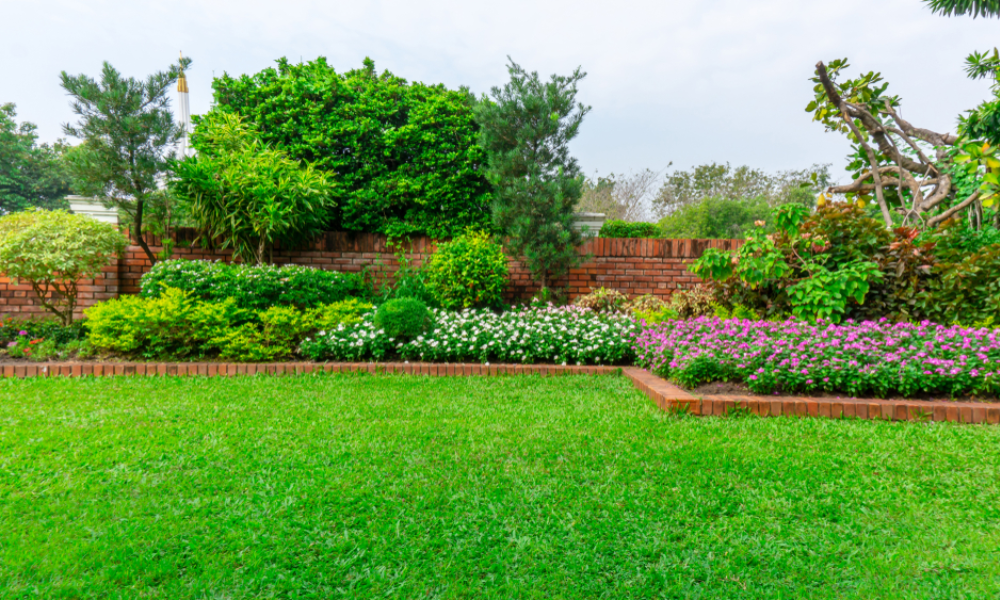 Summer Landscaping Care Thriving Under the Sun