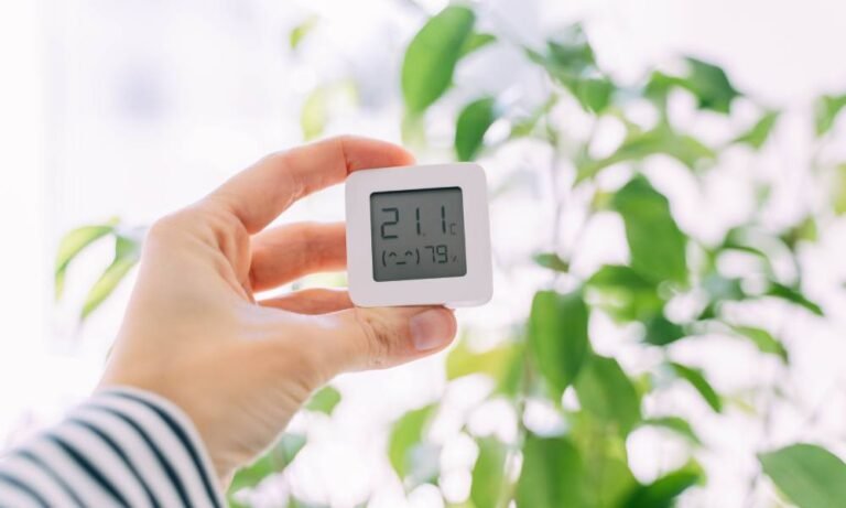 The Role of Humidity Control in Home Comfort