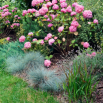 The Ultimate Guide to Low-Maintenance Landscaping