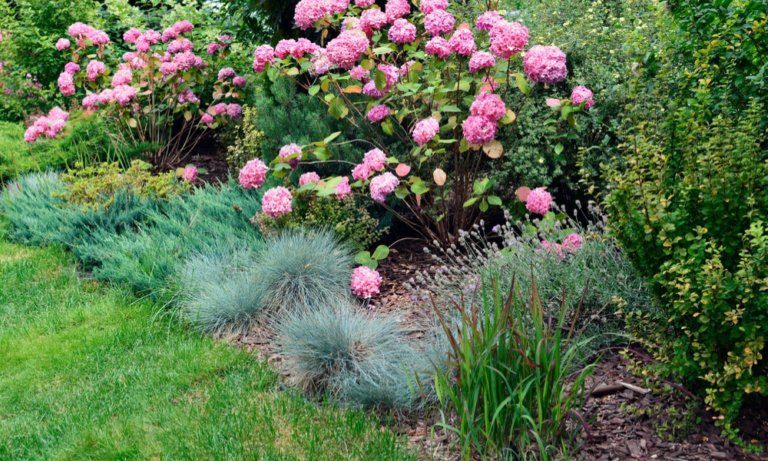 The Ultimate Guide to Low-Maintenance Landscaping