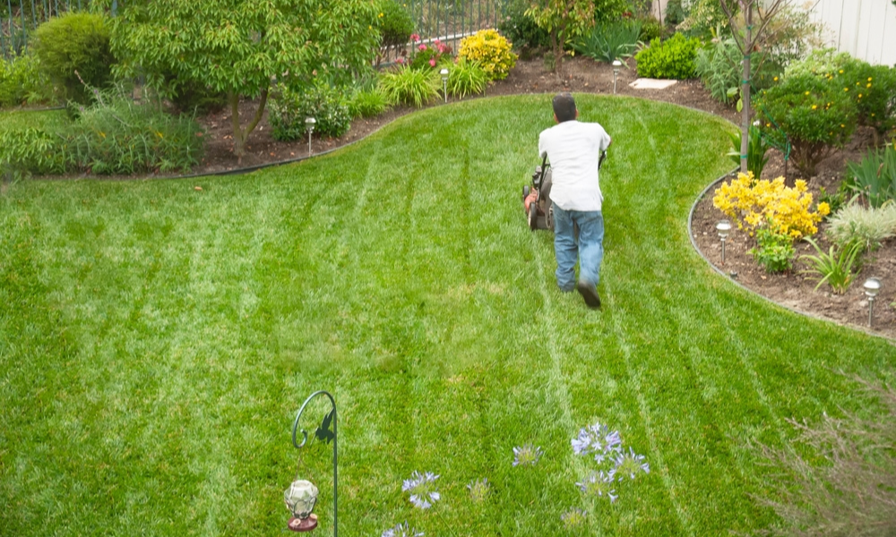 Tools for Watering and Irrigation