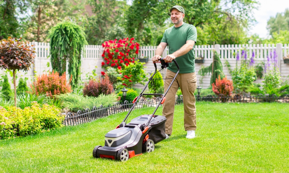 Top Benefits of Professional Landscaping Services