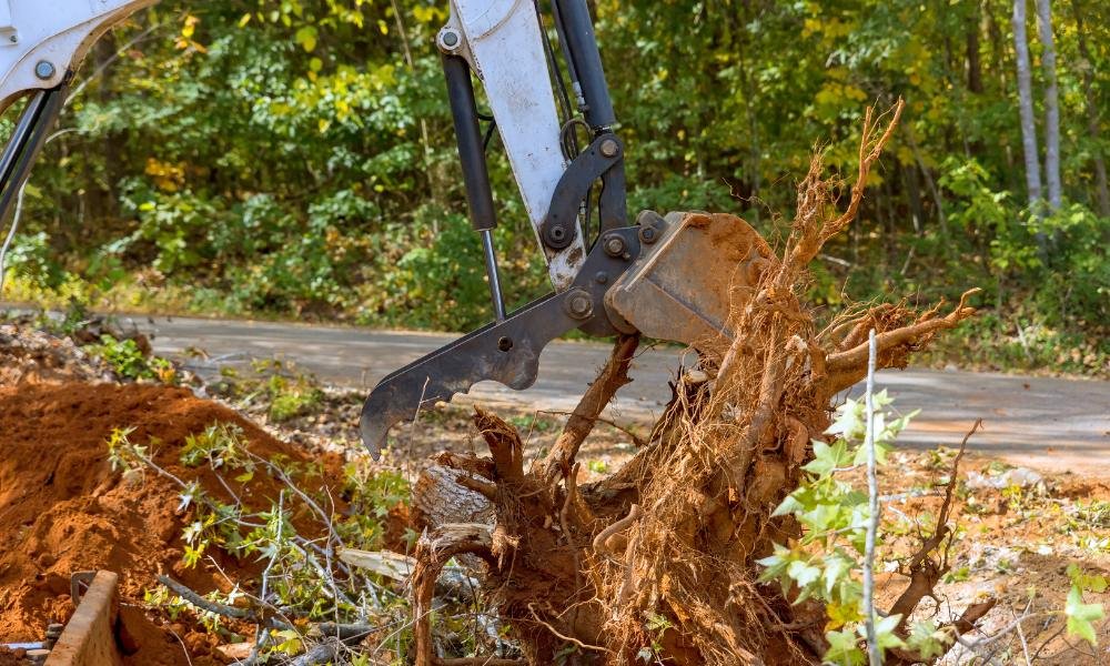 Clearing Land