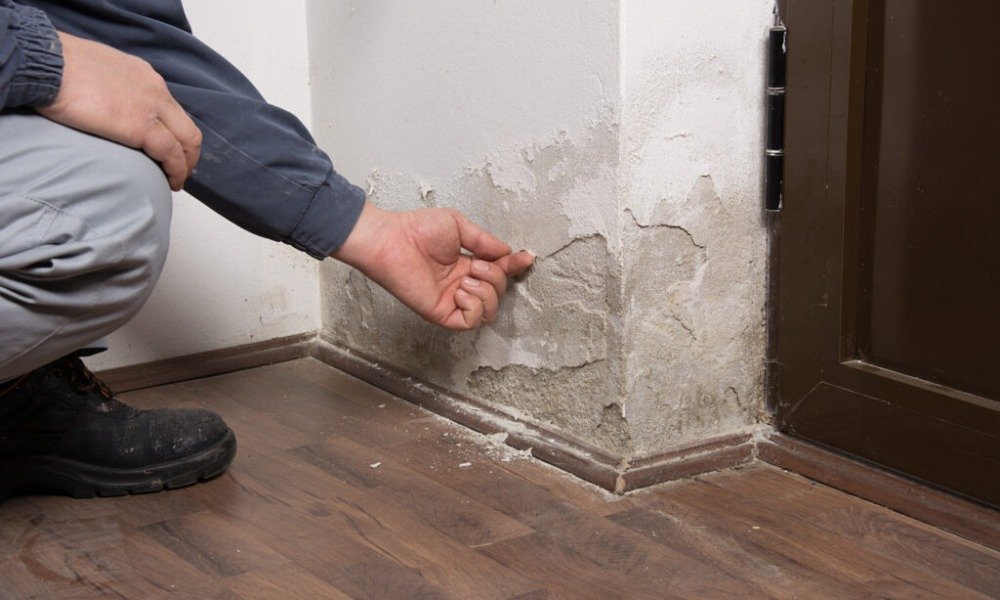 Damp or Wet Walls