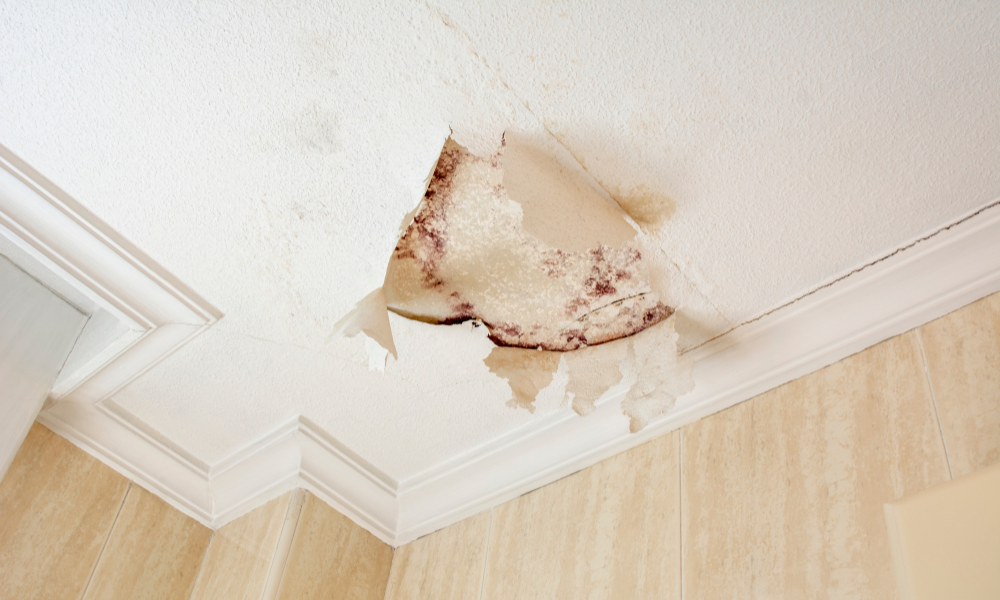 Different Types of Cracks and Their Meanings