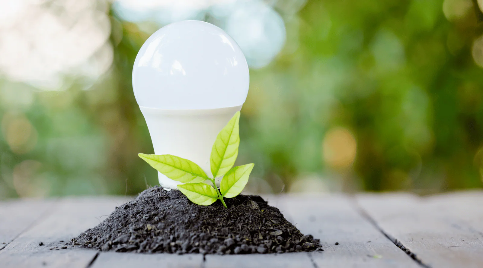 Financial Benefits of Switching to LEDs