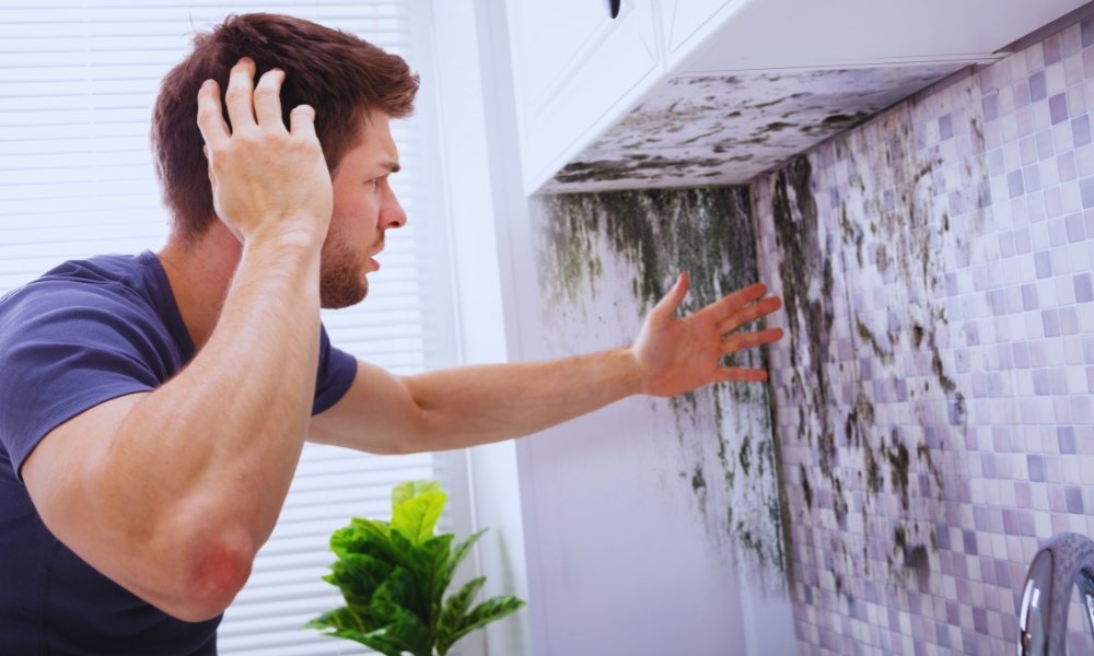 How to Detect Mold in My Home