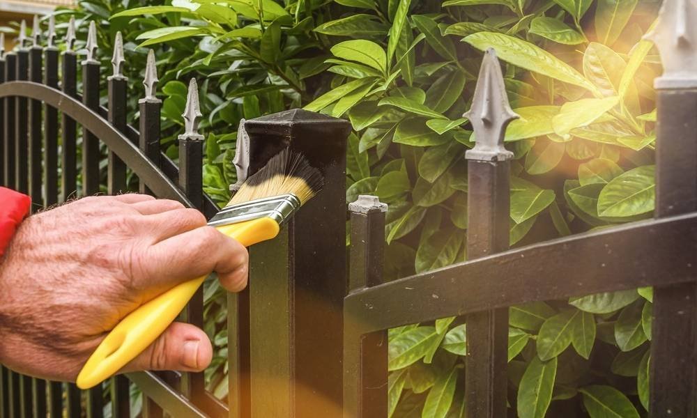How to Maintain Your Fence Year-Round