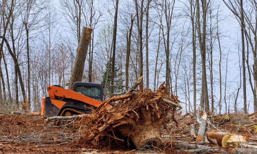 Land Clearing