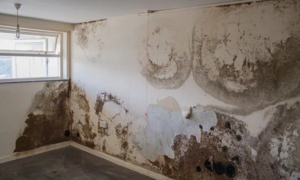 Penetrating Damp