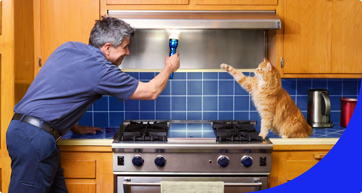 Protect Your Appliances from Wear and Tear