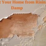 Protect Your Home from Rising Damp with These Solutions
