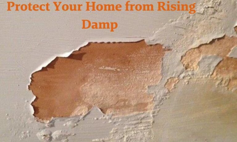 Protect Your Home from Rising Damp with These Solutions